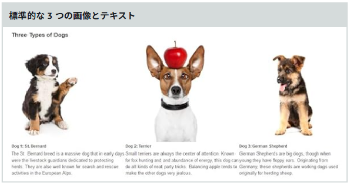 標準的な3つの画像とテキスト