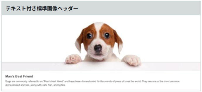 テキスト付き標準画像ヘッダー